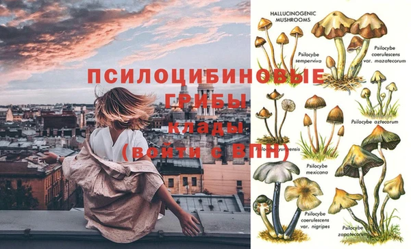соль ск Алзамай