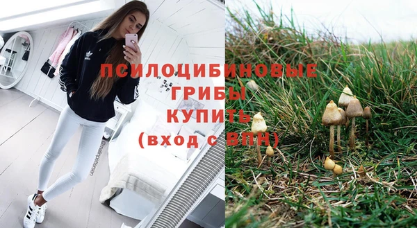 соль ск Алзамай